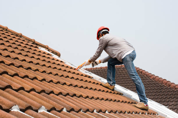 Best Roof Moss and Algae Removal  in Stone Mountain, GA